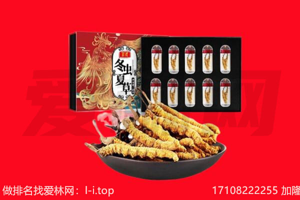 汉中市佛坪回收虫草.jpg